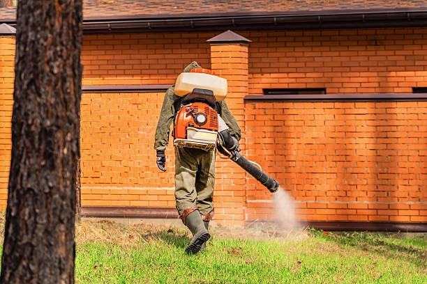 Trusted Termite Control service in Muskego, WI - Nex Pest Control